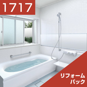 1717-036